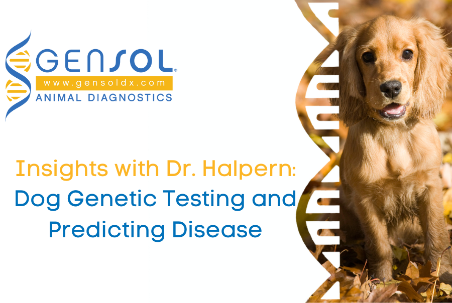 Dog Genetic Testing and Predicting Disease | GenSol Diagnostics